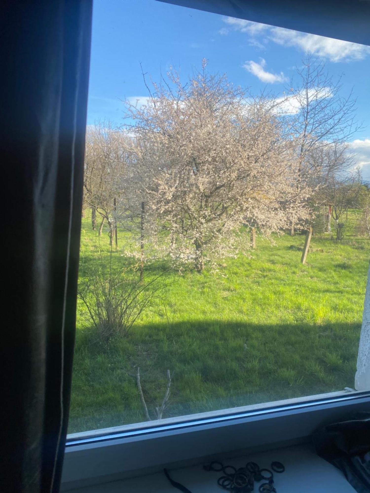 Apartamenty Ciukaj Paczkow Εξωτερικό φωτογραφία